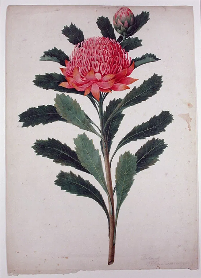 San Diego Museum of Art