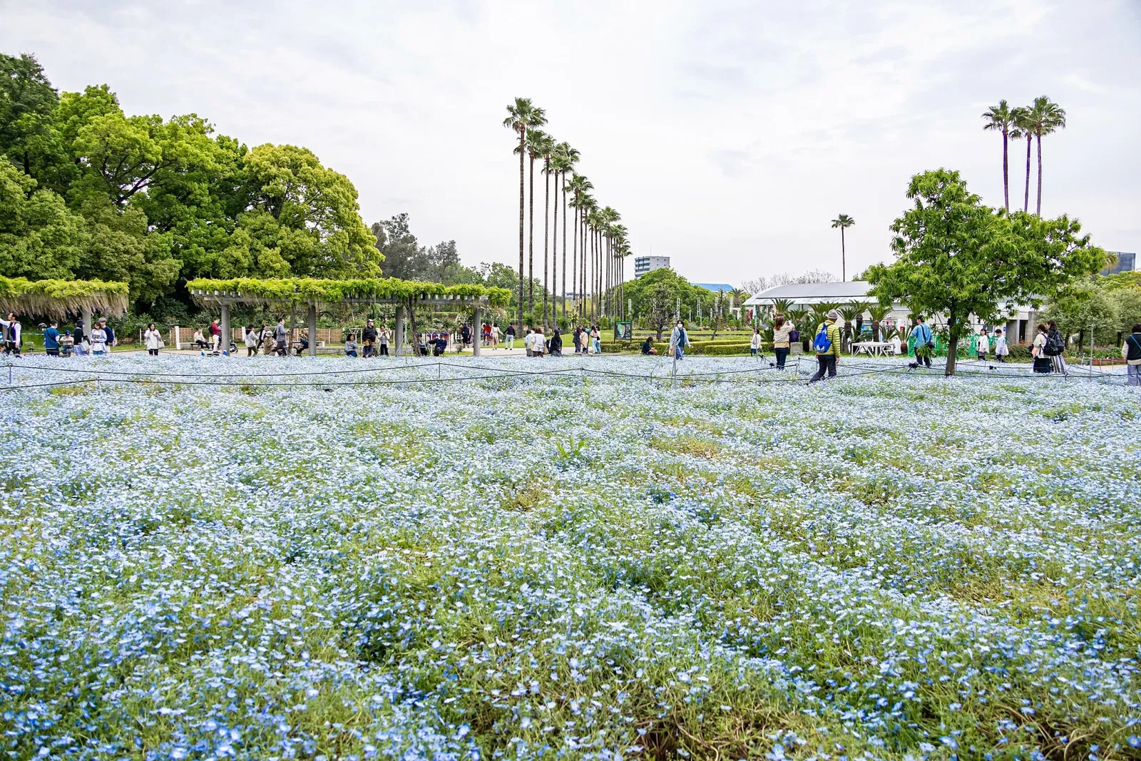 Nagai Botanical Garden