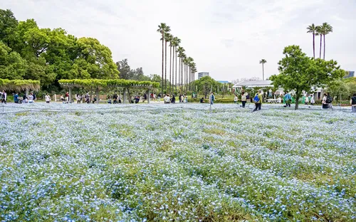 Nagai Botanical Garden