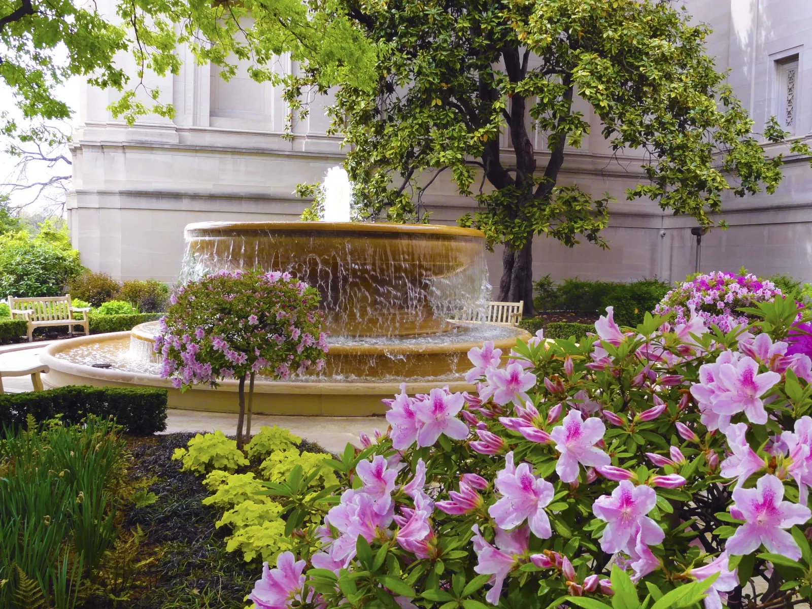 Galería Nacional de Arte