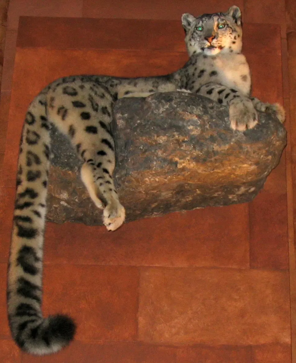 Smithsonian Institution Building