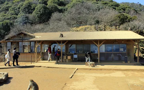 Arashiyama Monkey Park Iwatayama