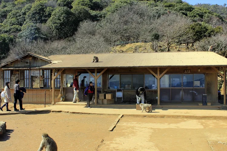 Arashiyama Monkey Park Iwatayama