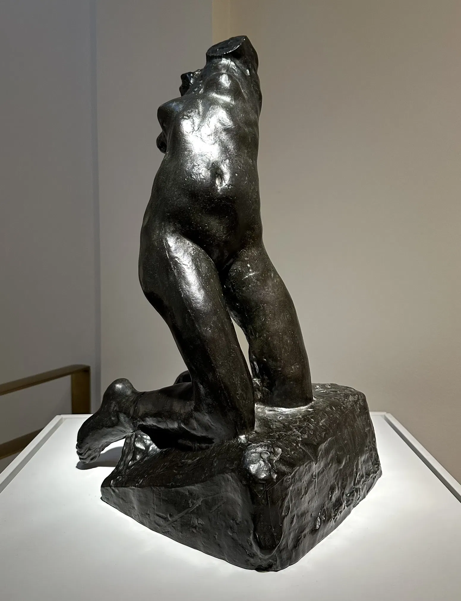 The Phillips Collection