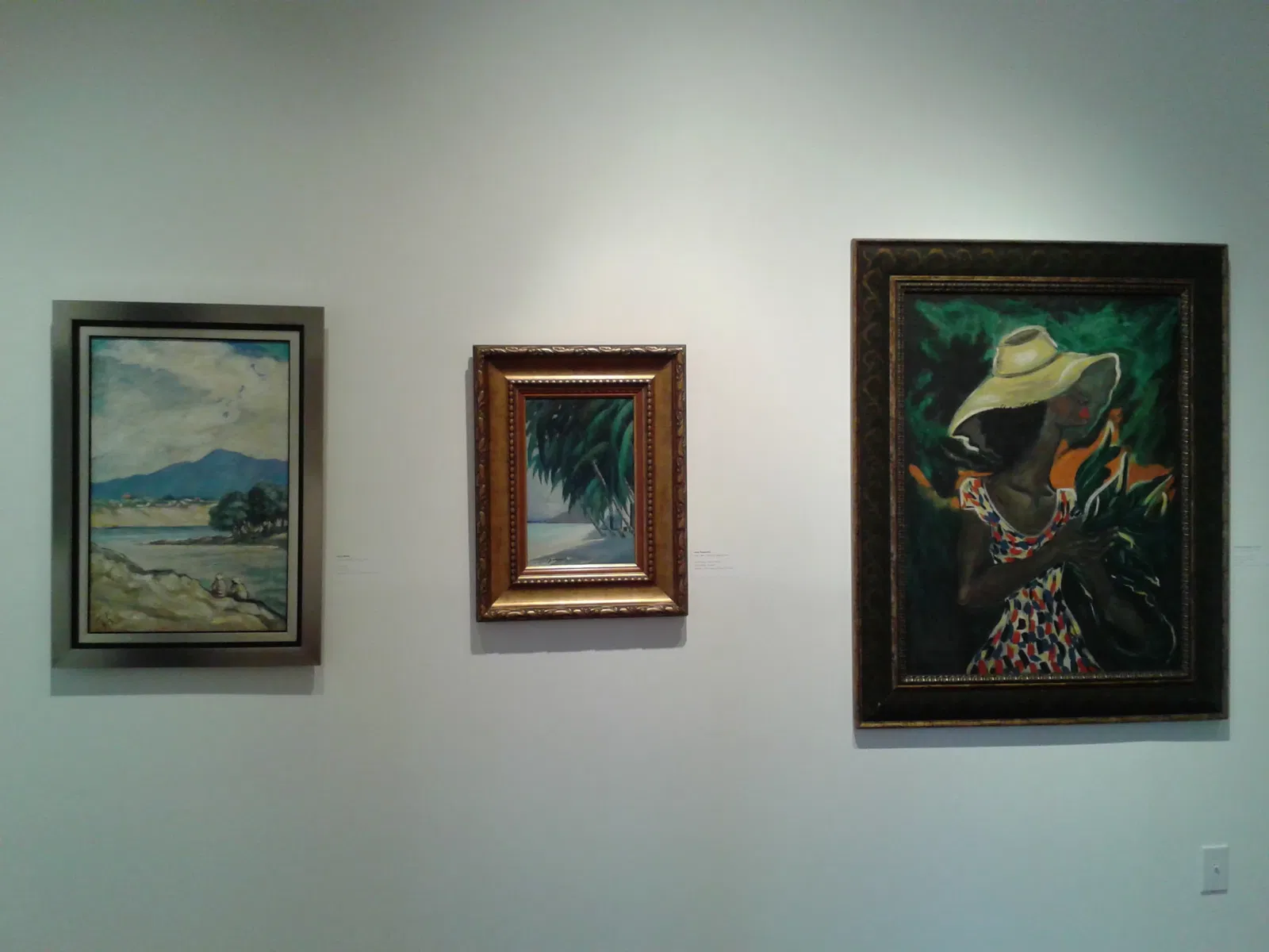 Art Museum of the Americas