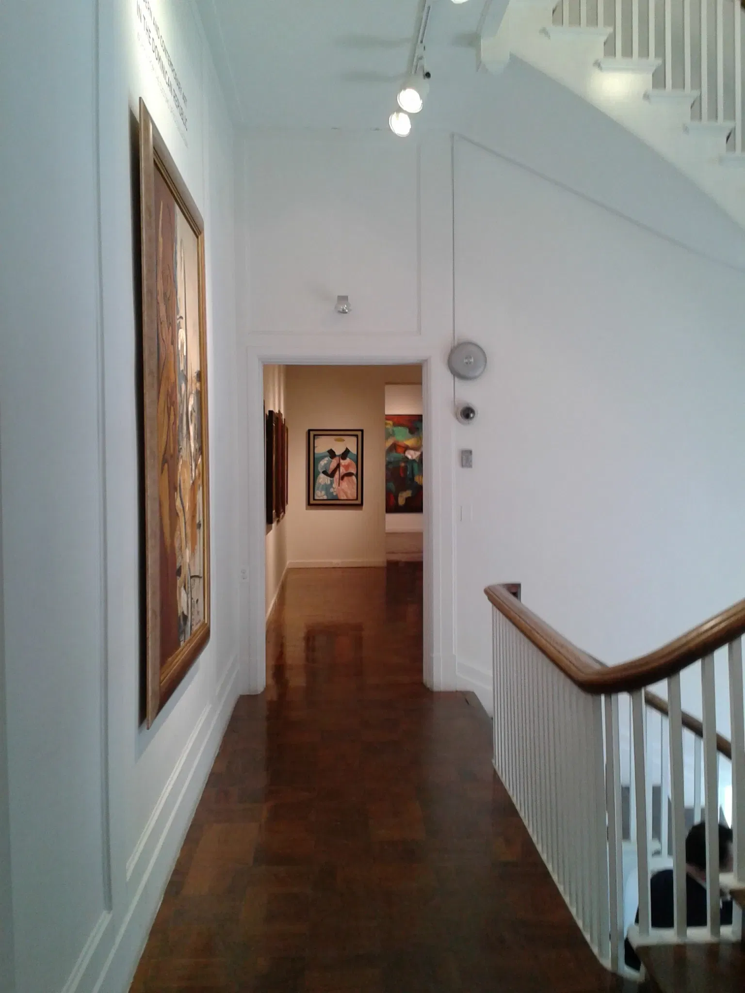 Art Museum of the Americas