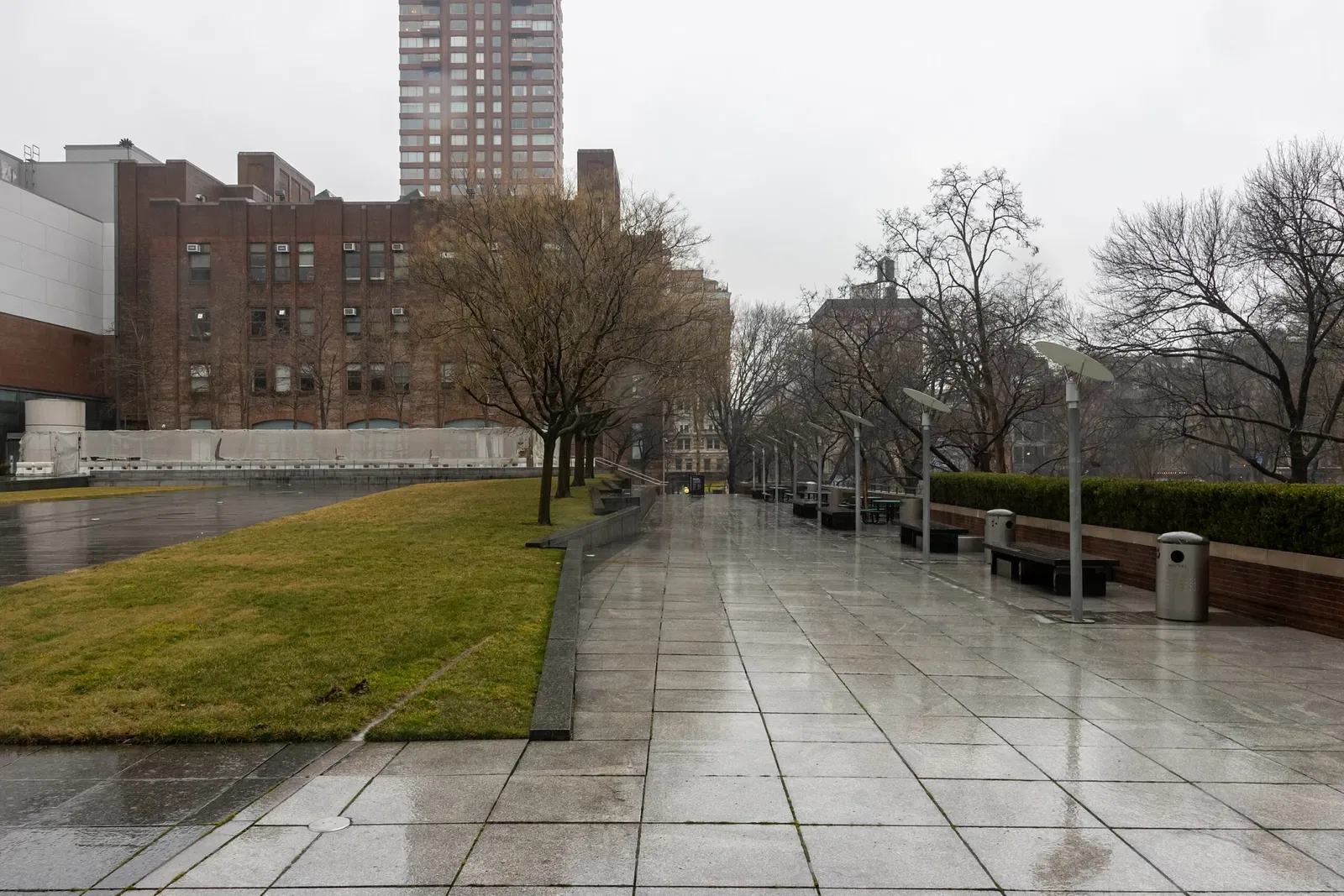 Museo Americano de Historia Natural