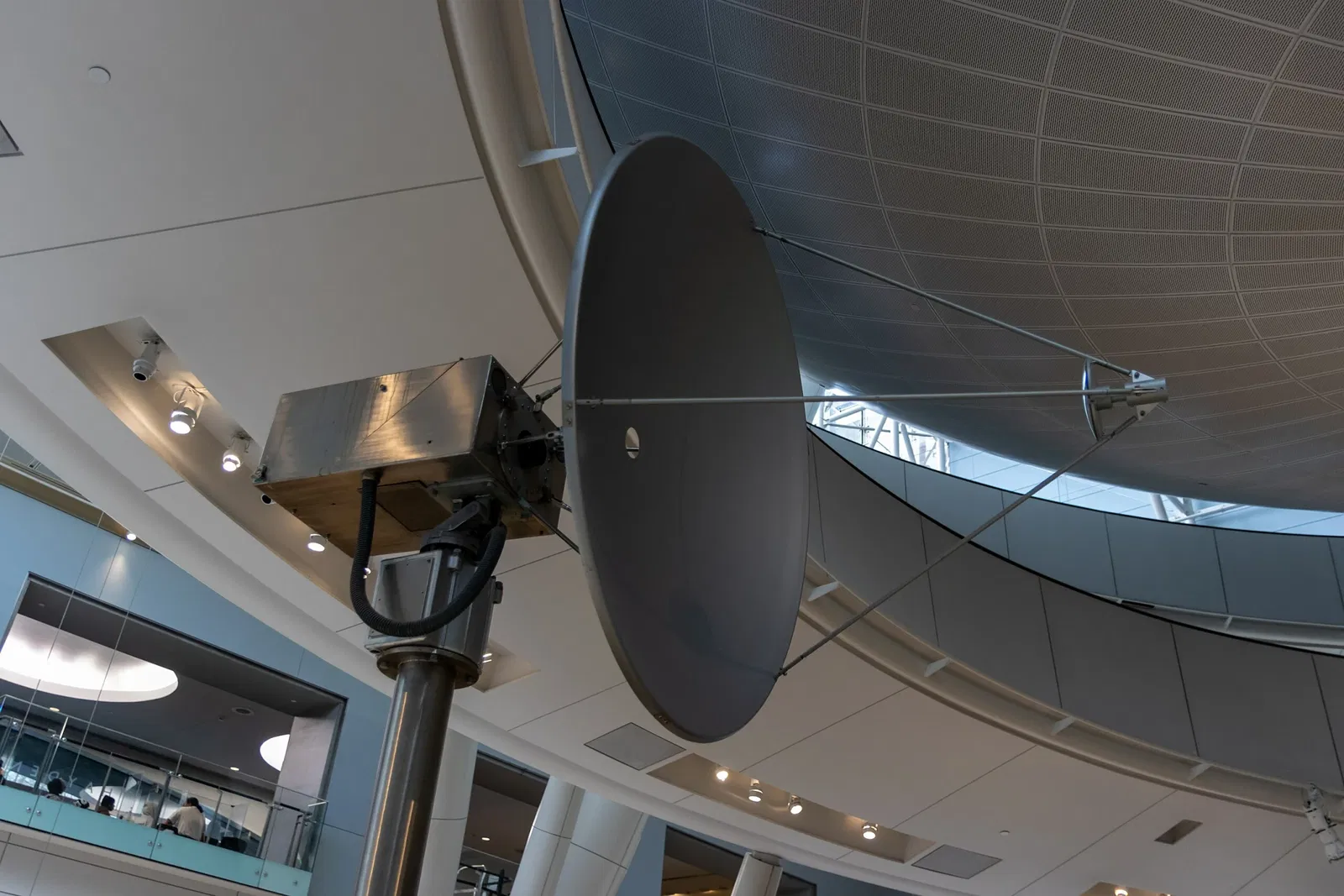 Museo Americano de Historia Natural