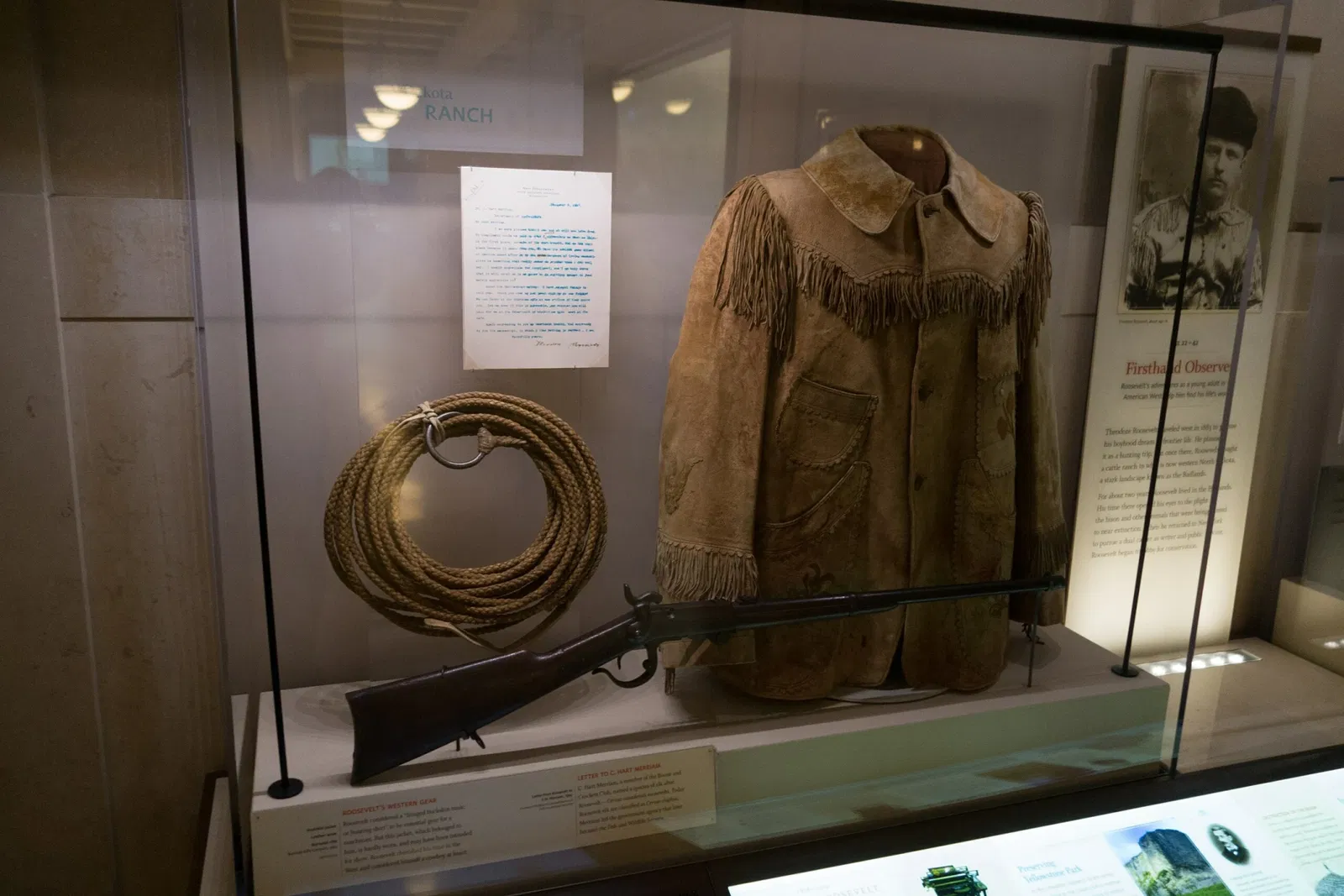 Musée américain d'histoire naturelle