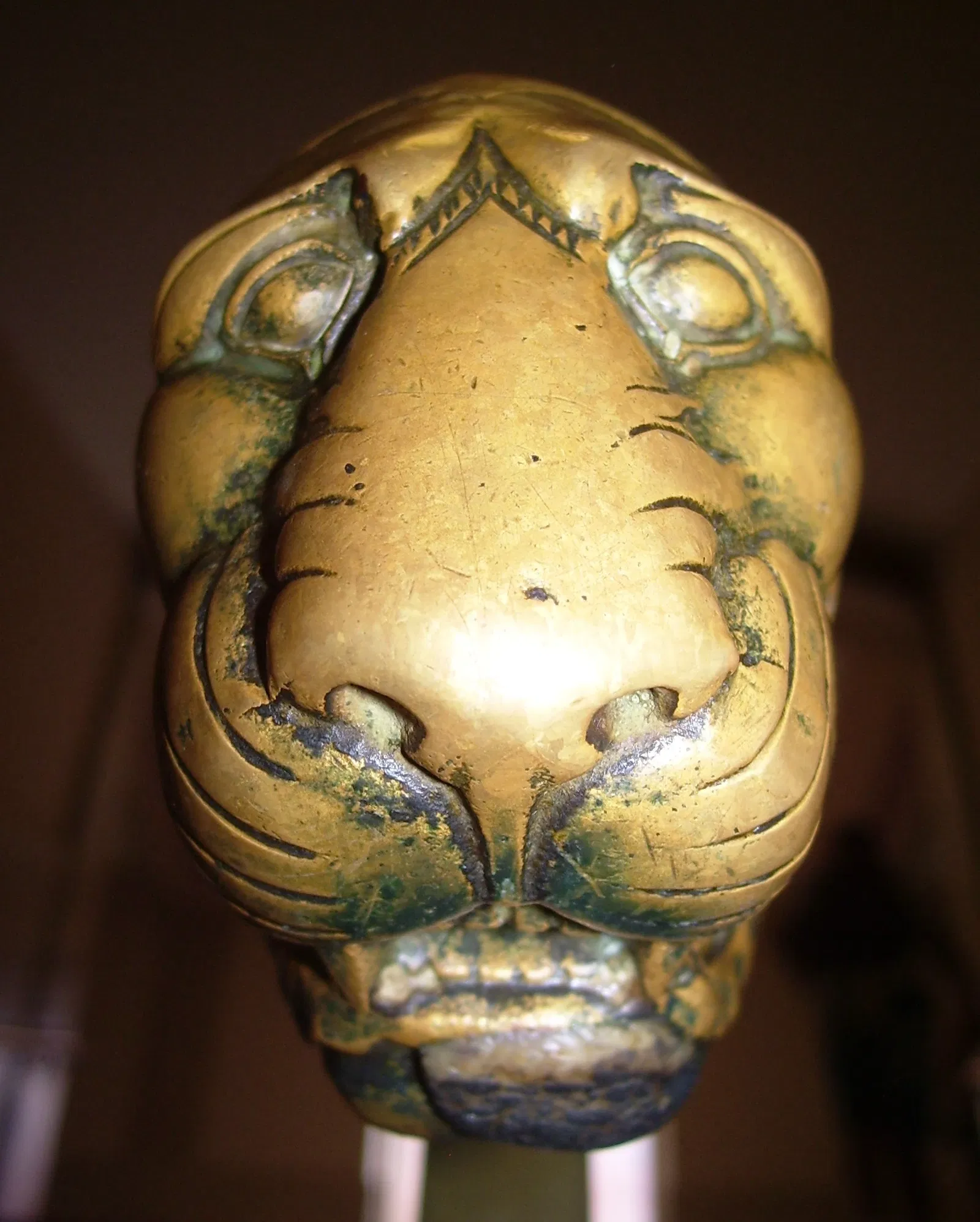 American Museum of Natural History