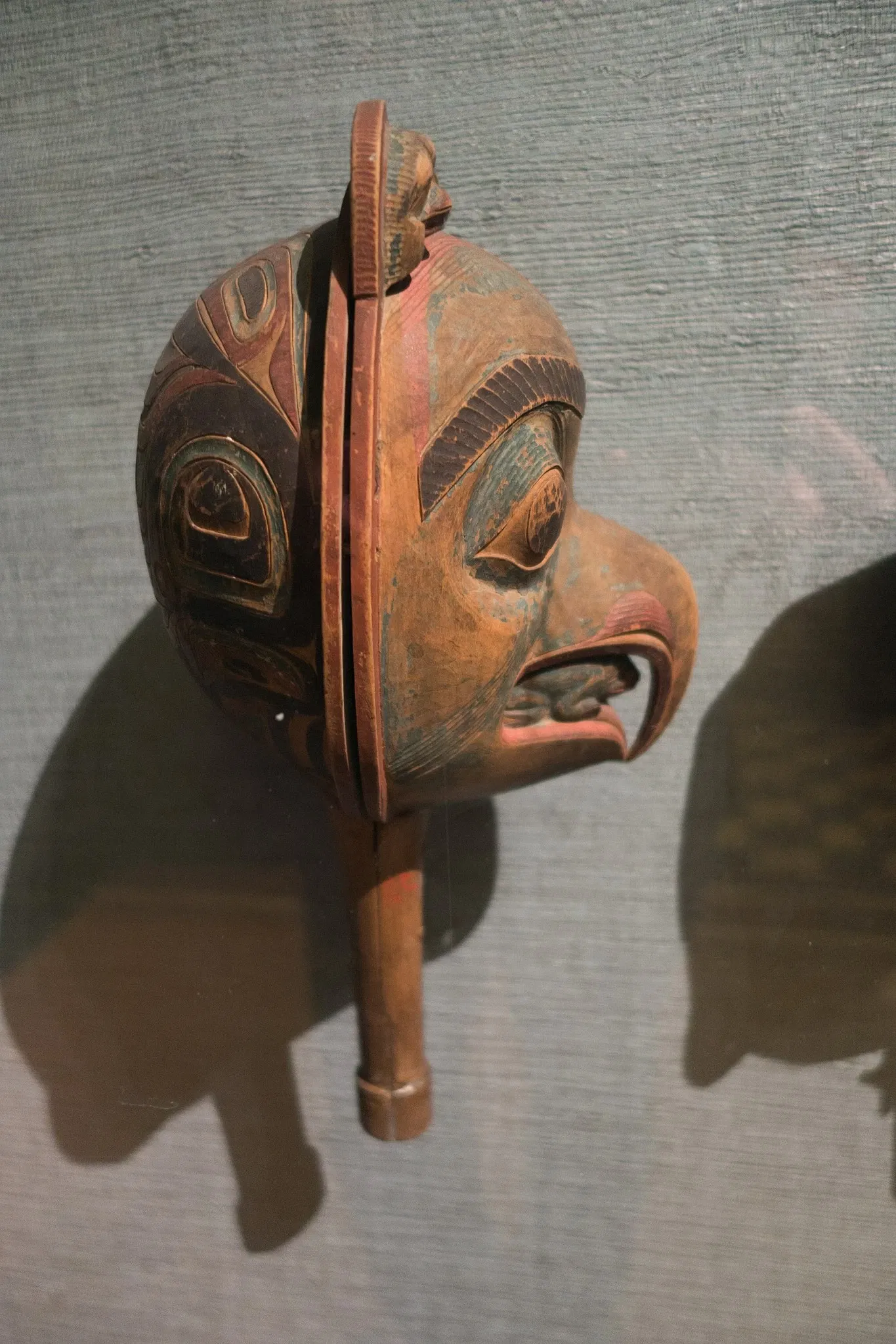 Museo Americano de Historia Natural