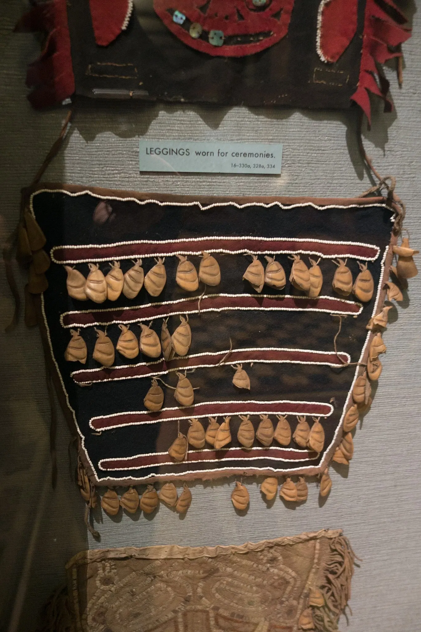 Museo Americano de Historia Natural