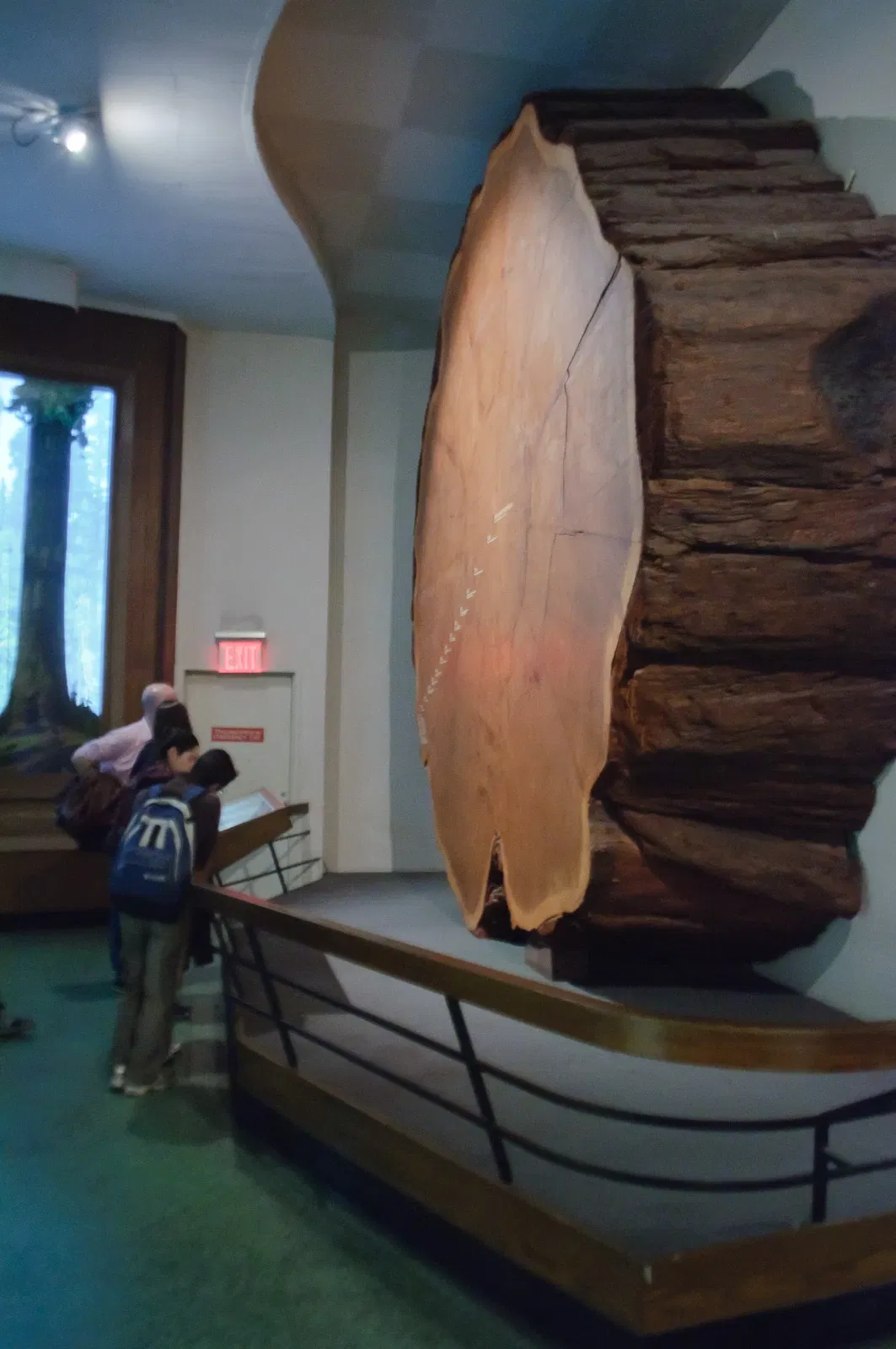 Museo Americano de Historia Natural