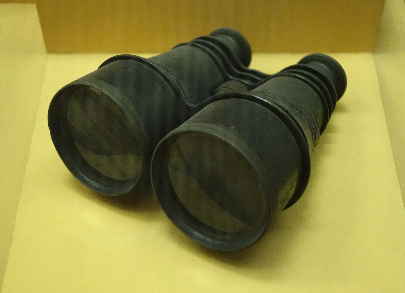 American Museum of Natural History