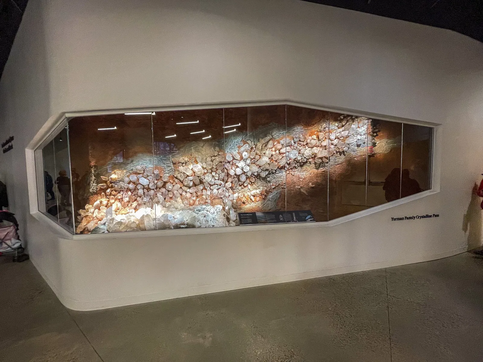 Museo Americano de Historia Natural