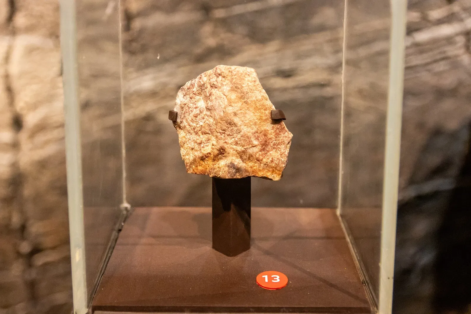 Museo Americano de Historia Natural