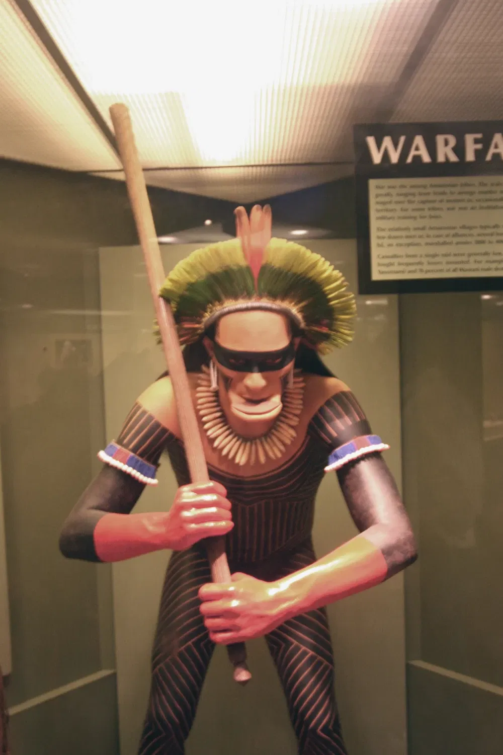 American Museum of Natural History