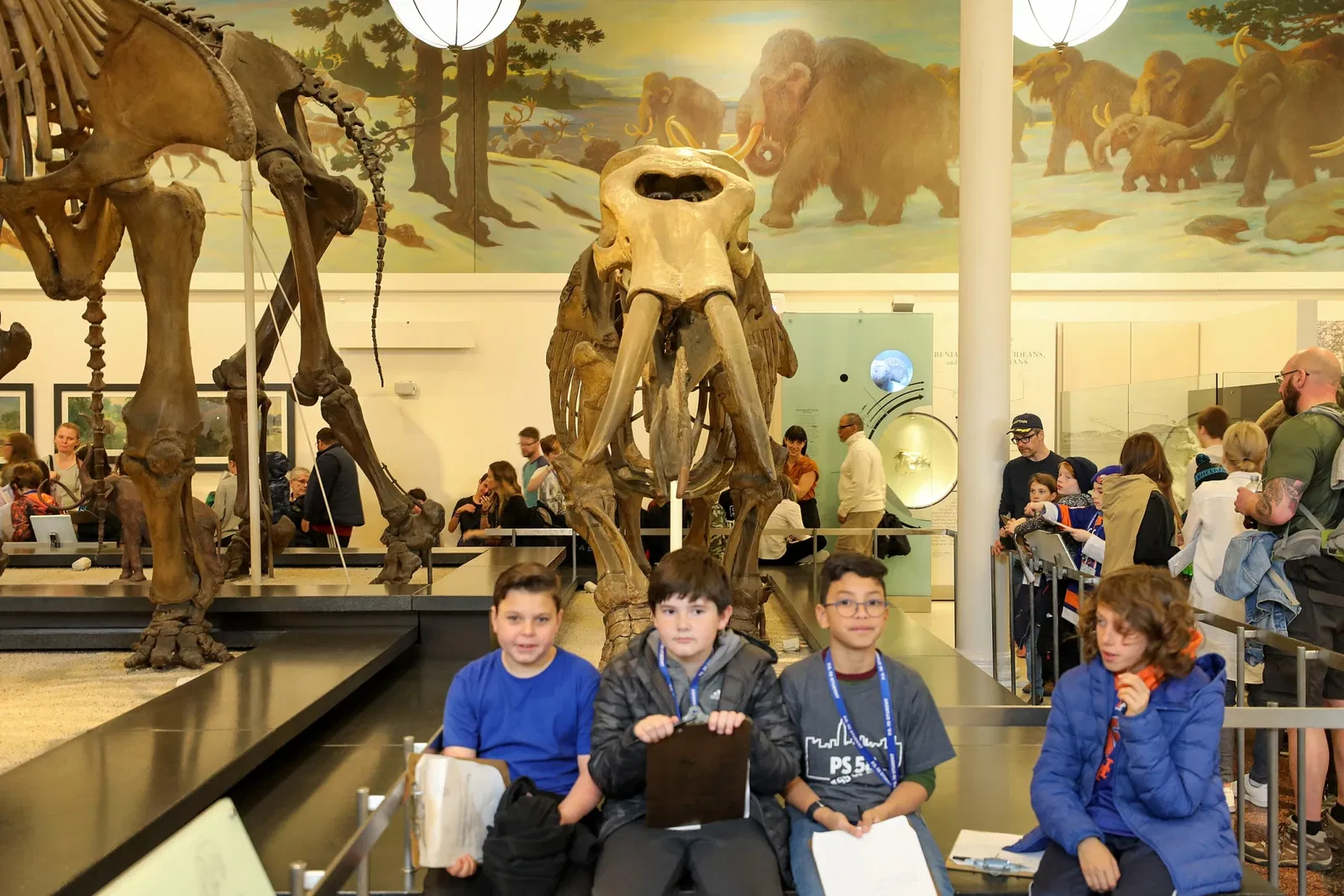 American Museum of Natural History