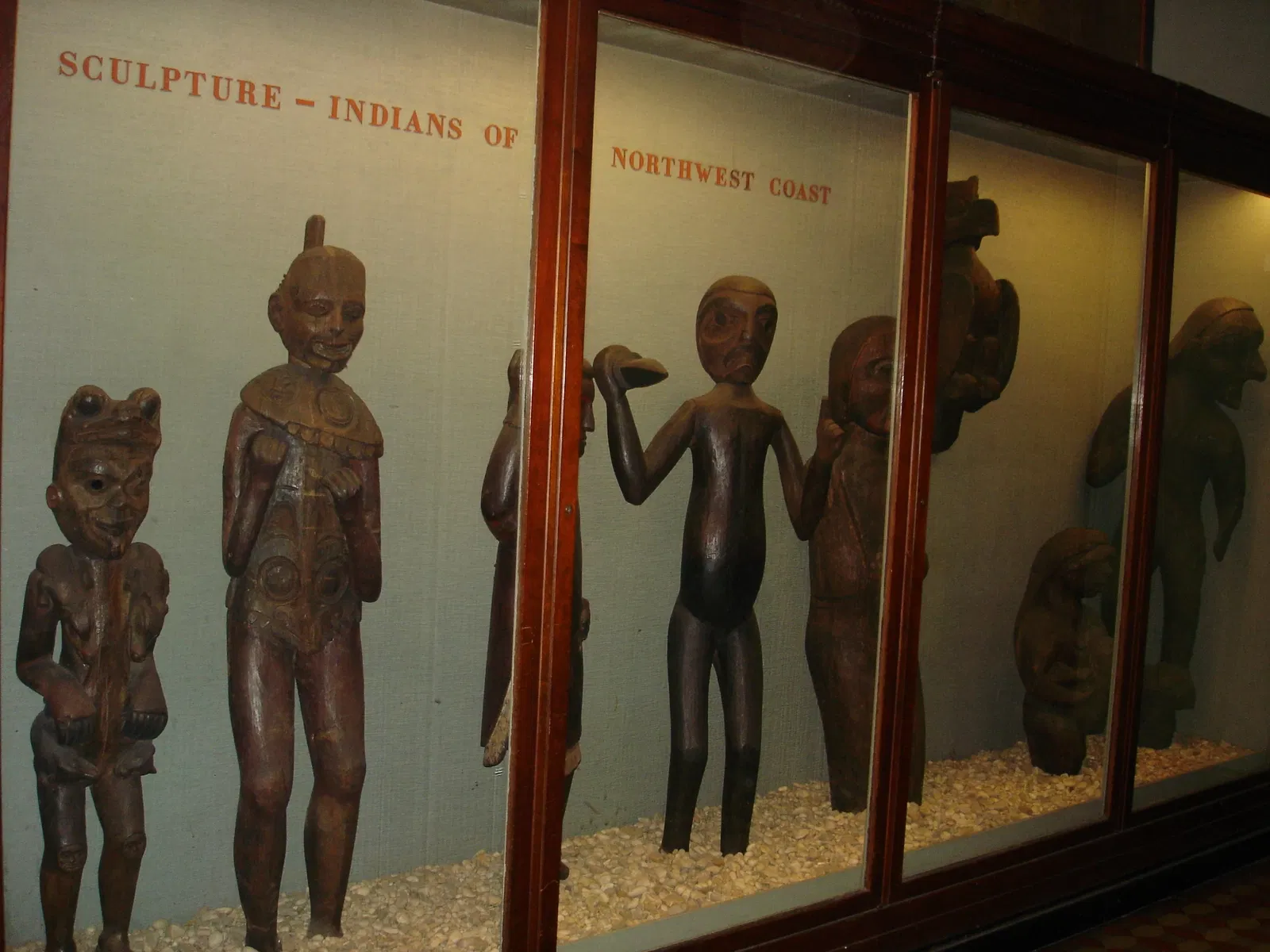 Musée américain d'histoire naturelle