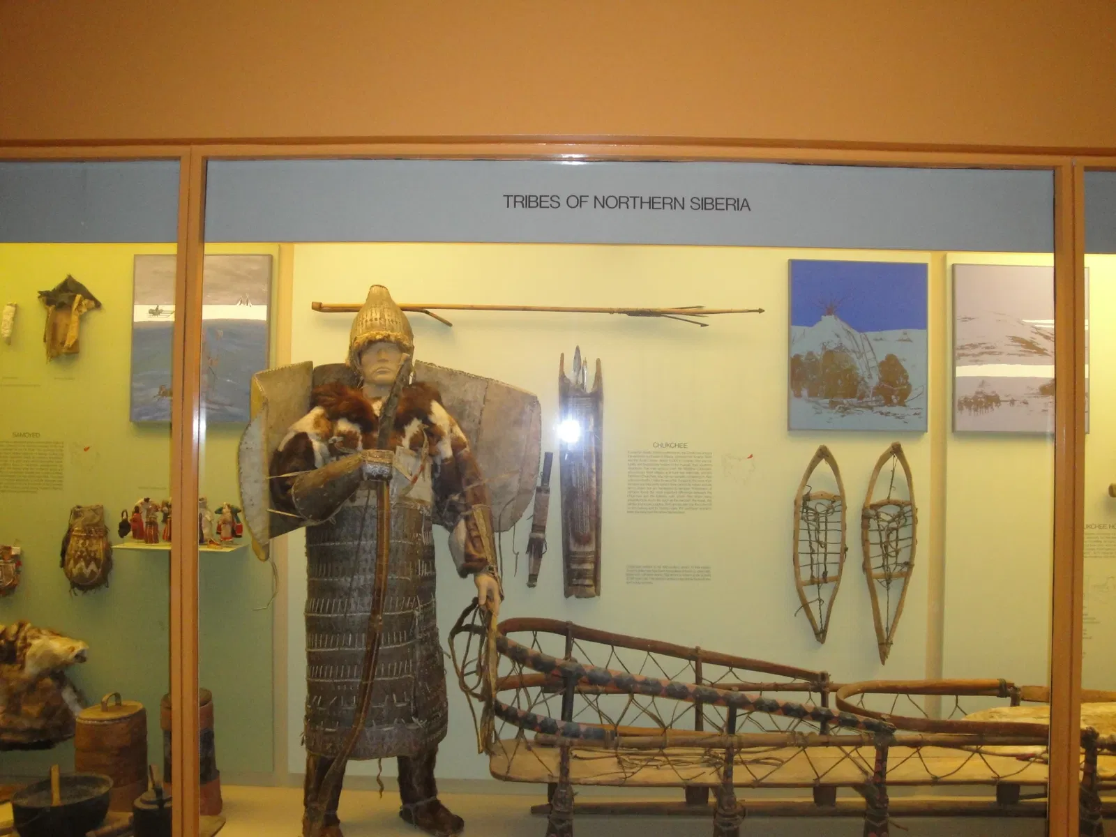 Museo Americano de Historia Natural