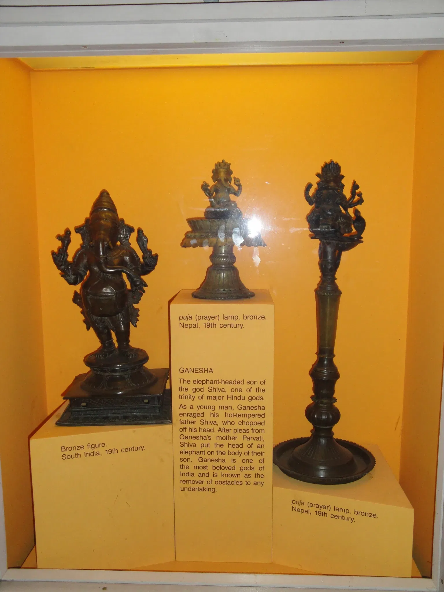 Museo Americano de Historia Natural