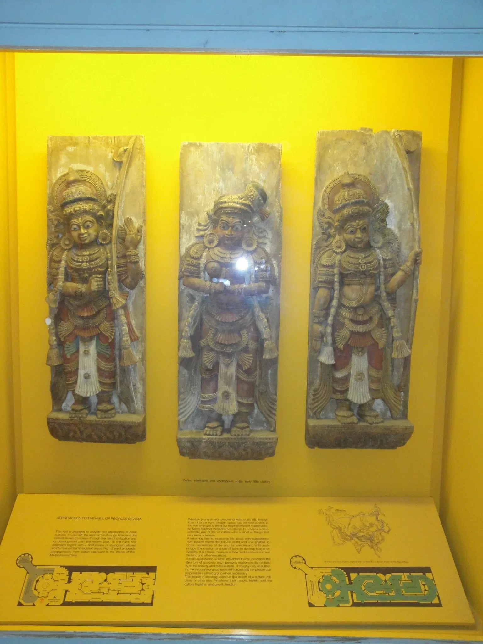 Museo Americano de Historia Natural