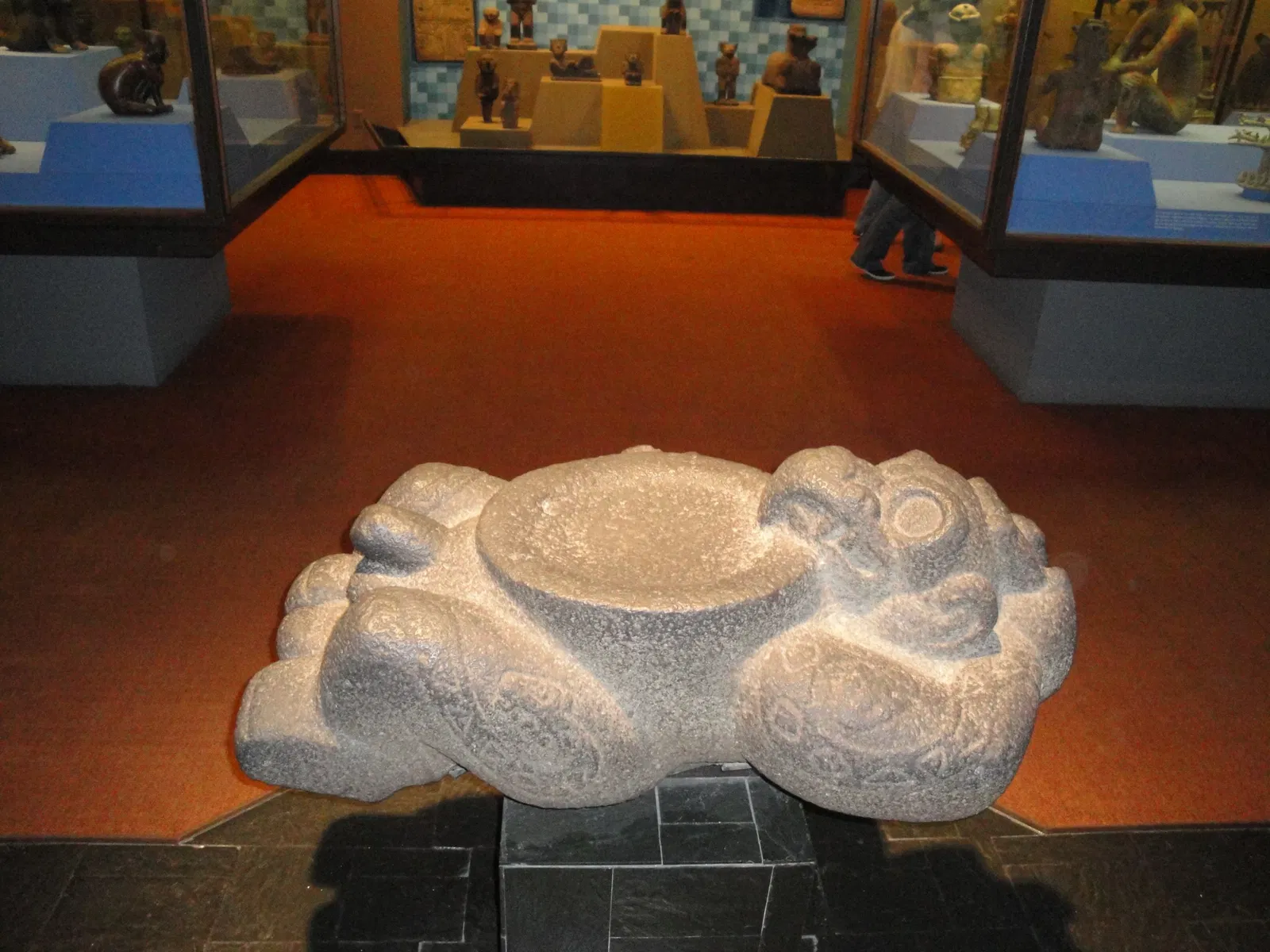 Musée américain d'histoire naturelle