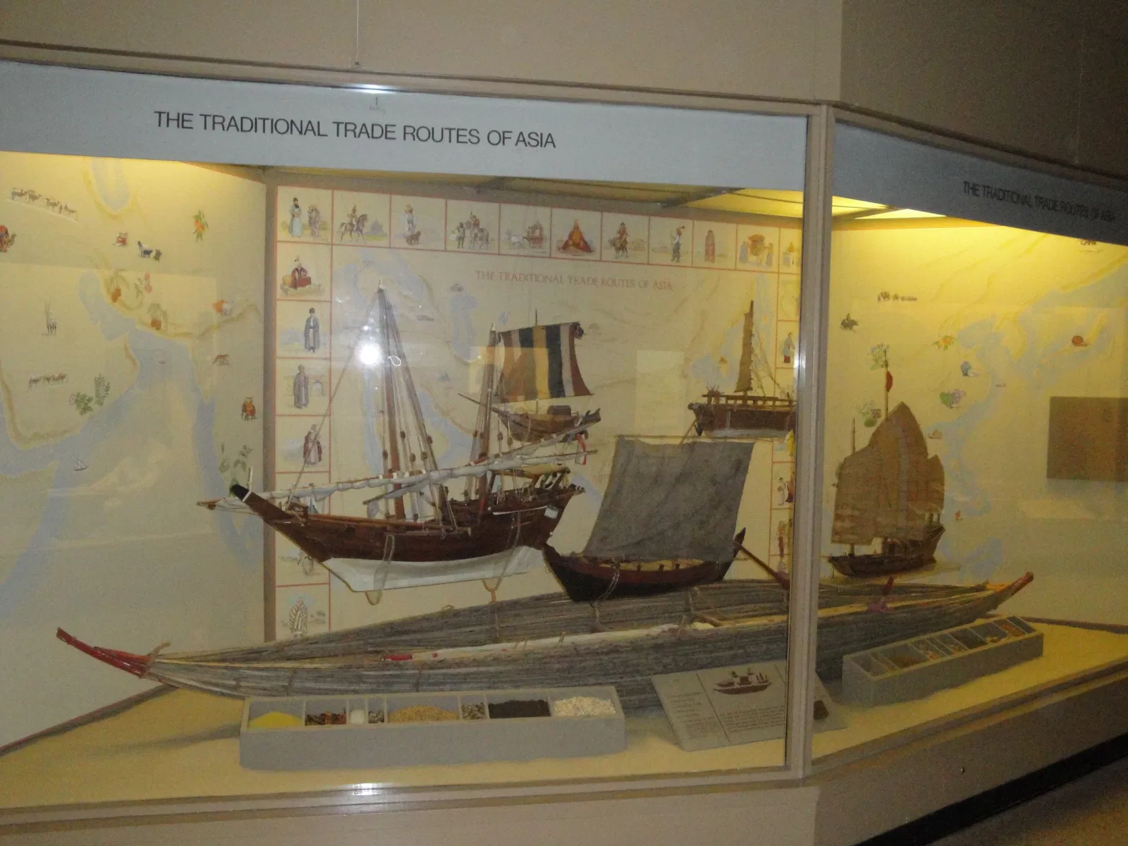 Musée américain d'histoire naturelle