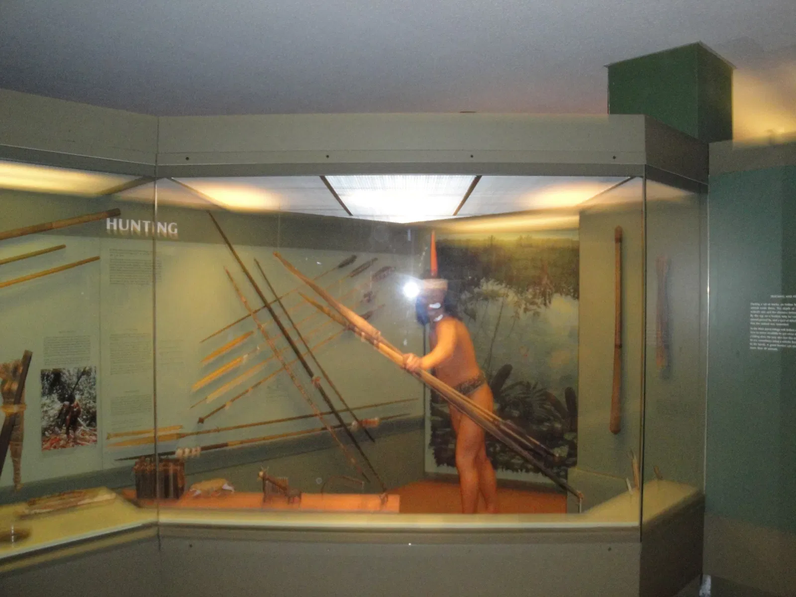 American Museum of Natural History