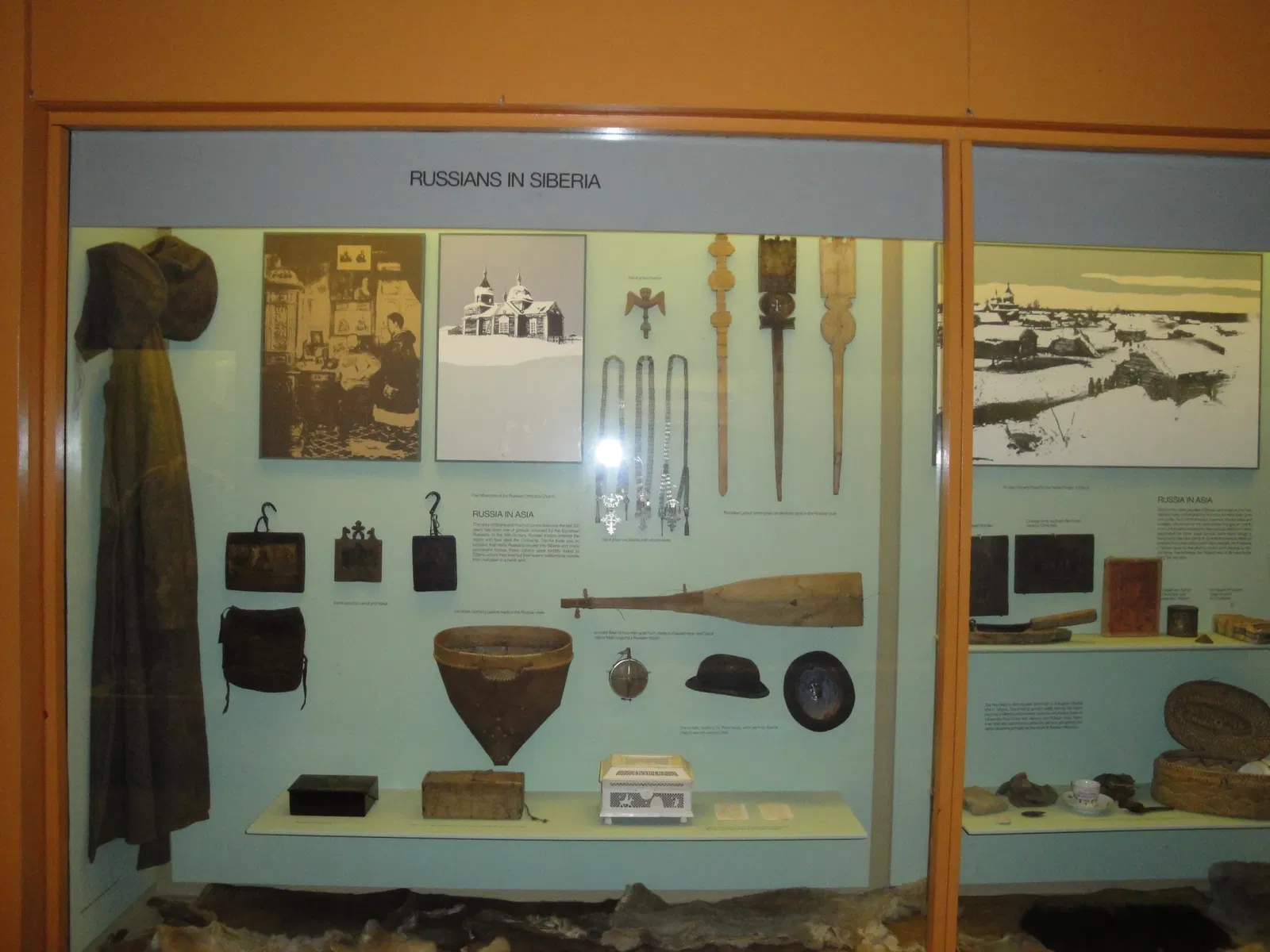 American Museum of Natural History