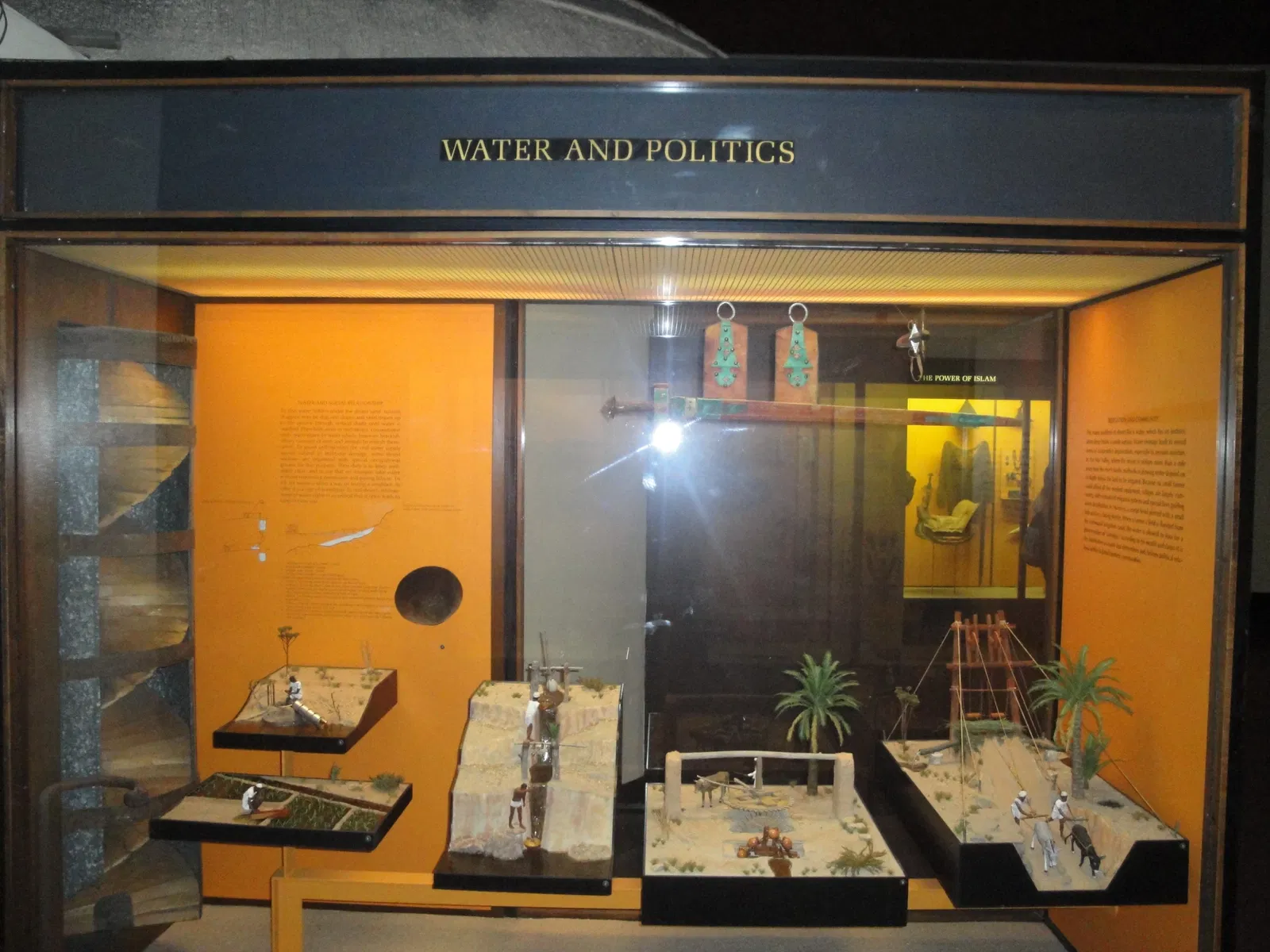 Museo Americano de Historia Natural