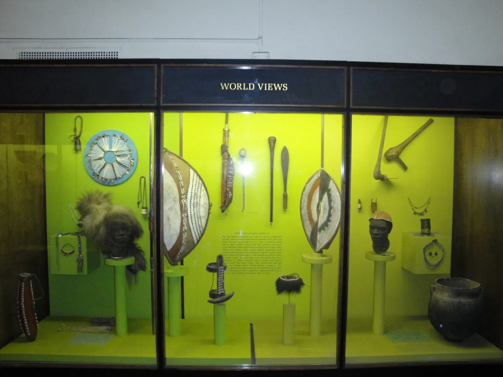 Museo Americano de Historia Natural