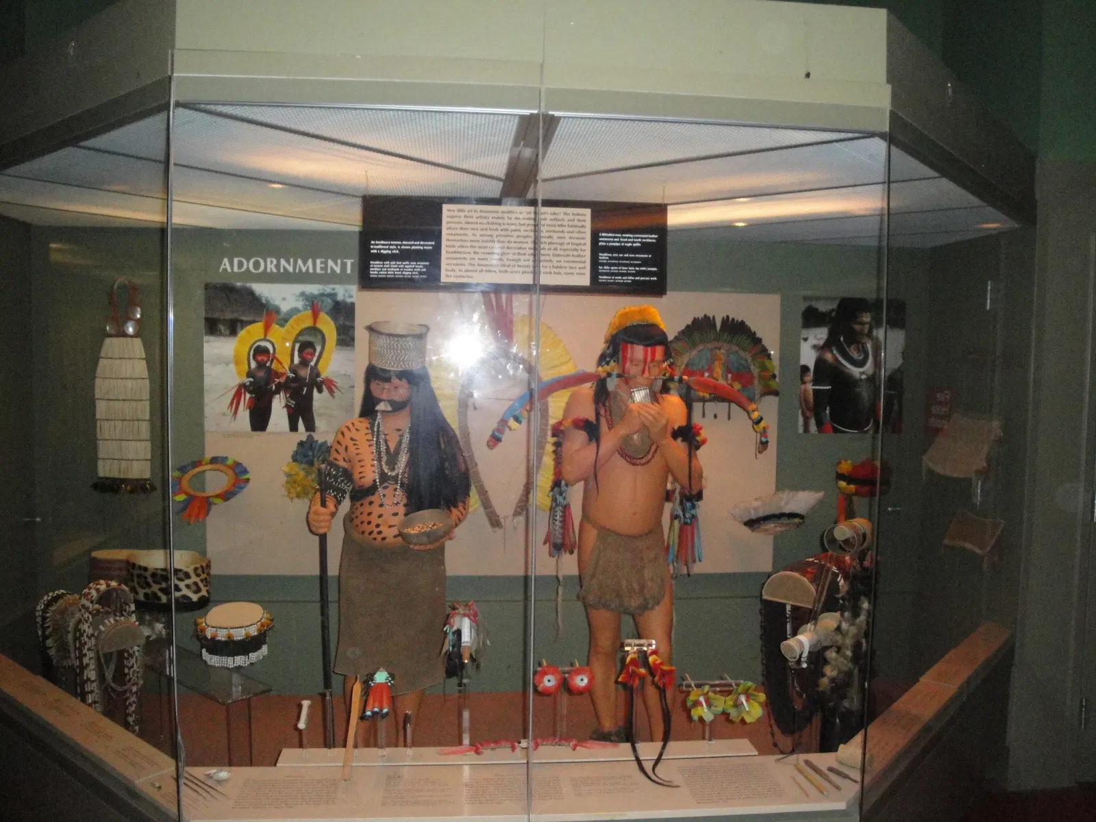 Museo Americano de Historia Natural