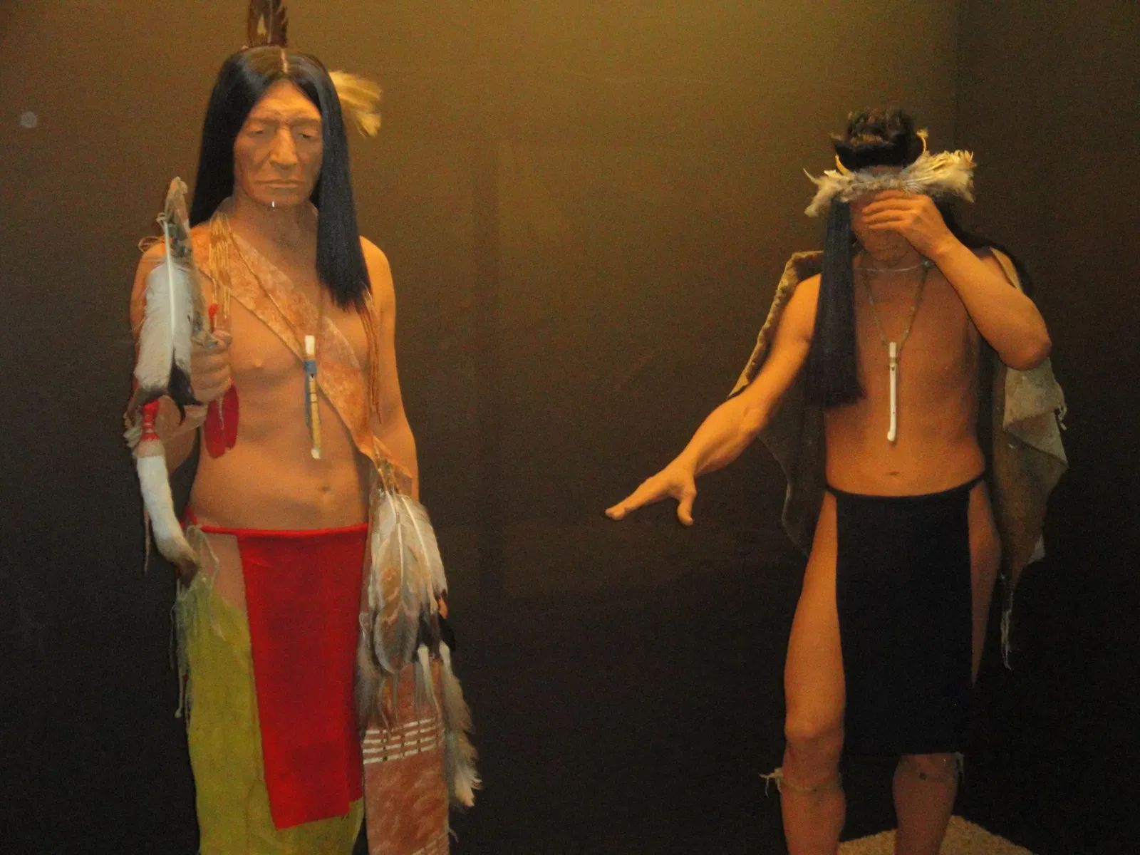 American Museum of Natural History