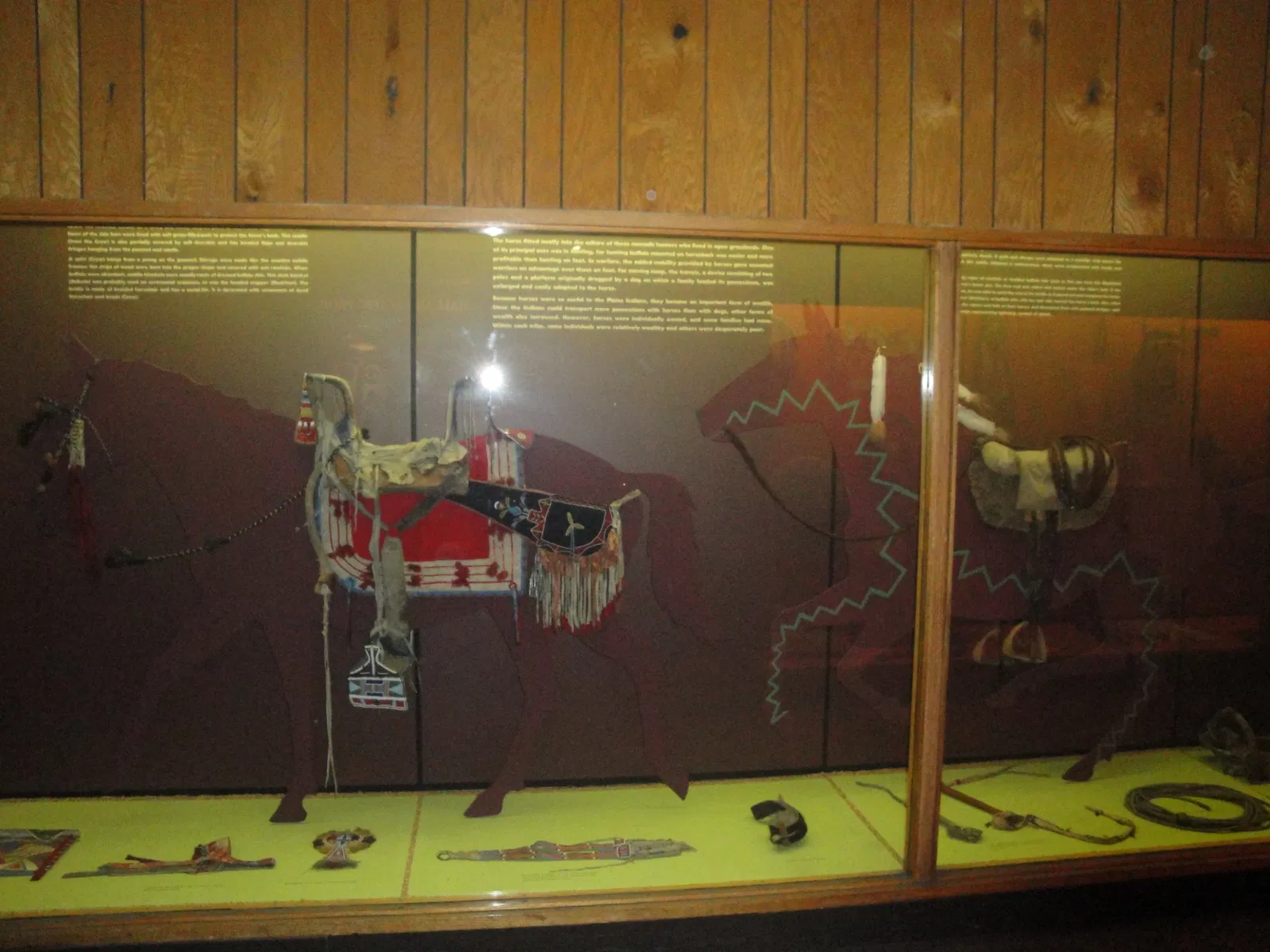 Musée américain d'histoire naturelle