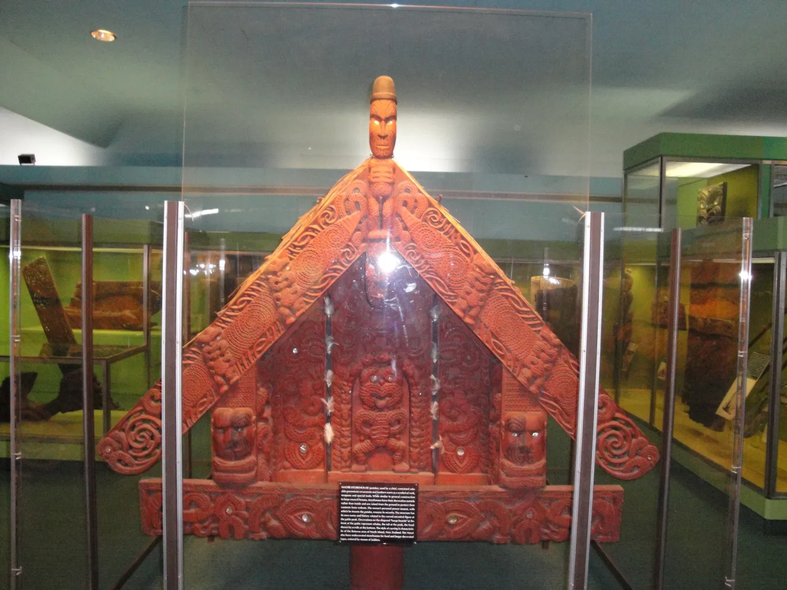 Musée américain d'histoire naturelle