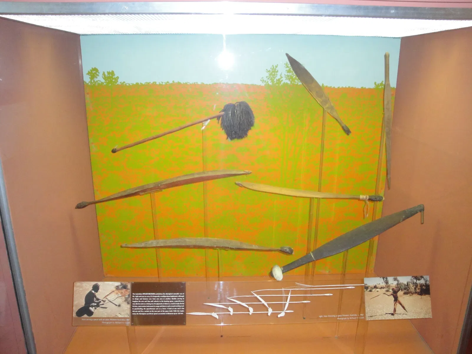 American Museum of Natural History