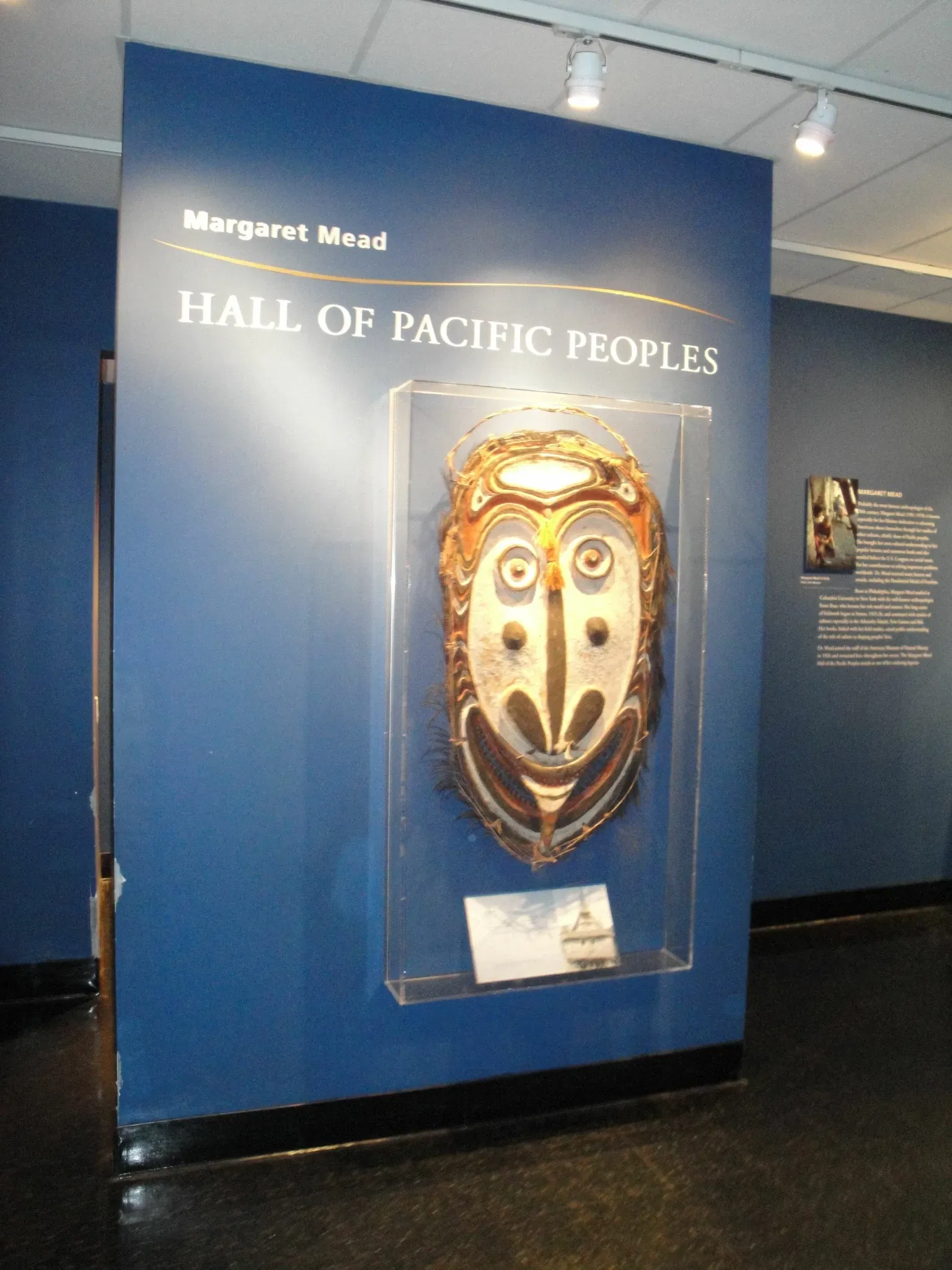 Museo Americano de Historia Natural