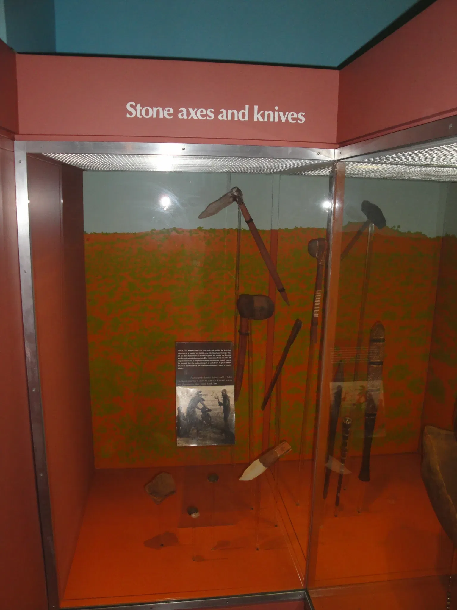 Museo Americano de Historia Natural