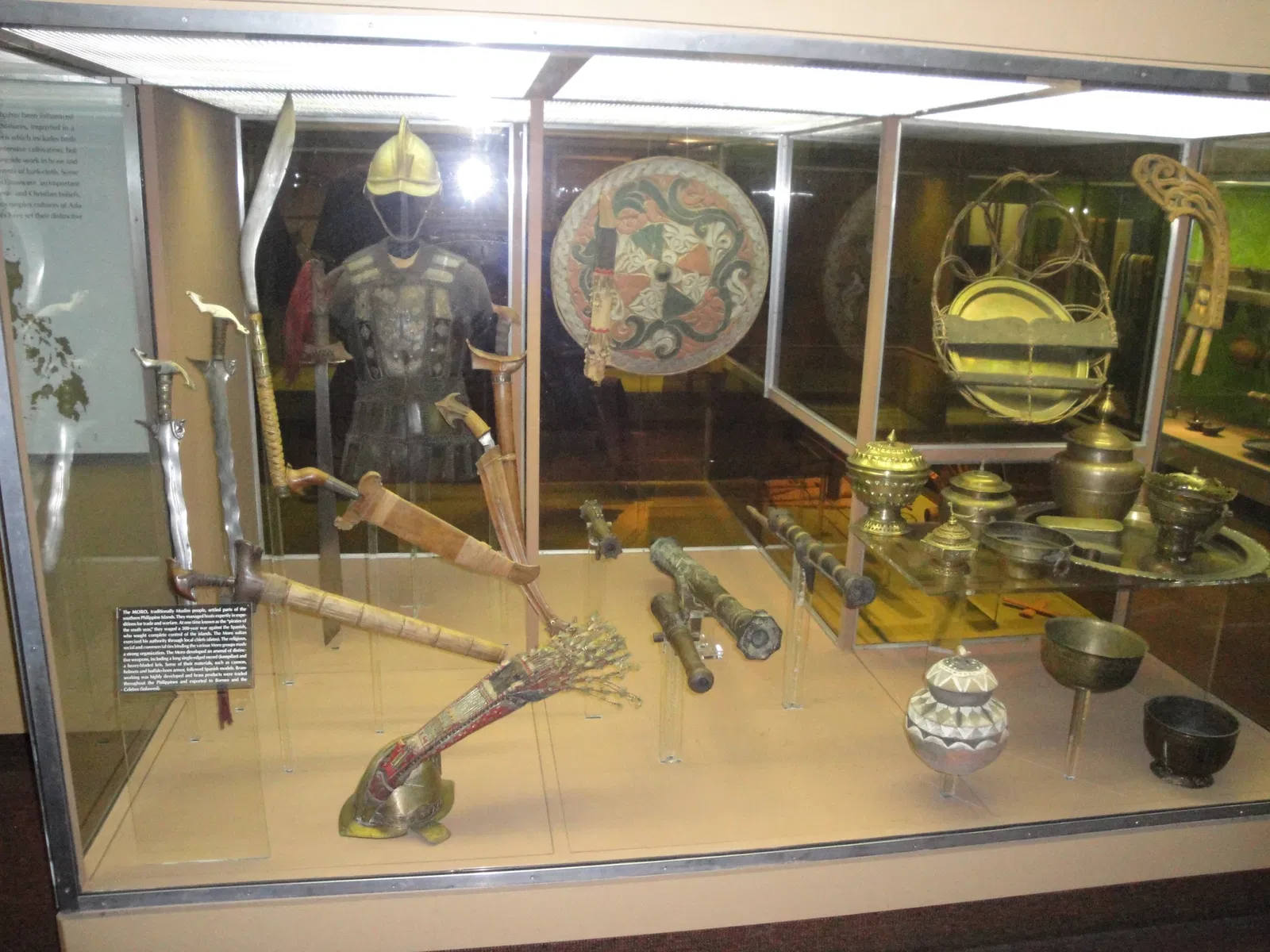 Museo Americano de Historia Natural