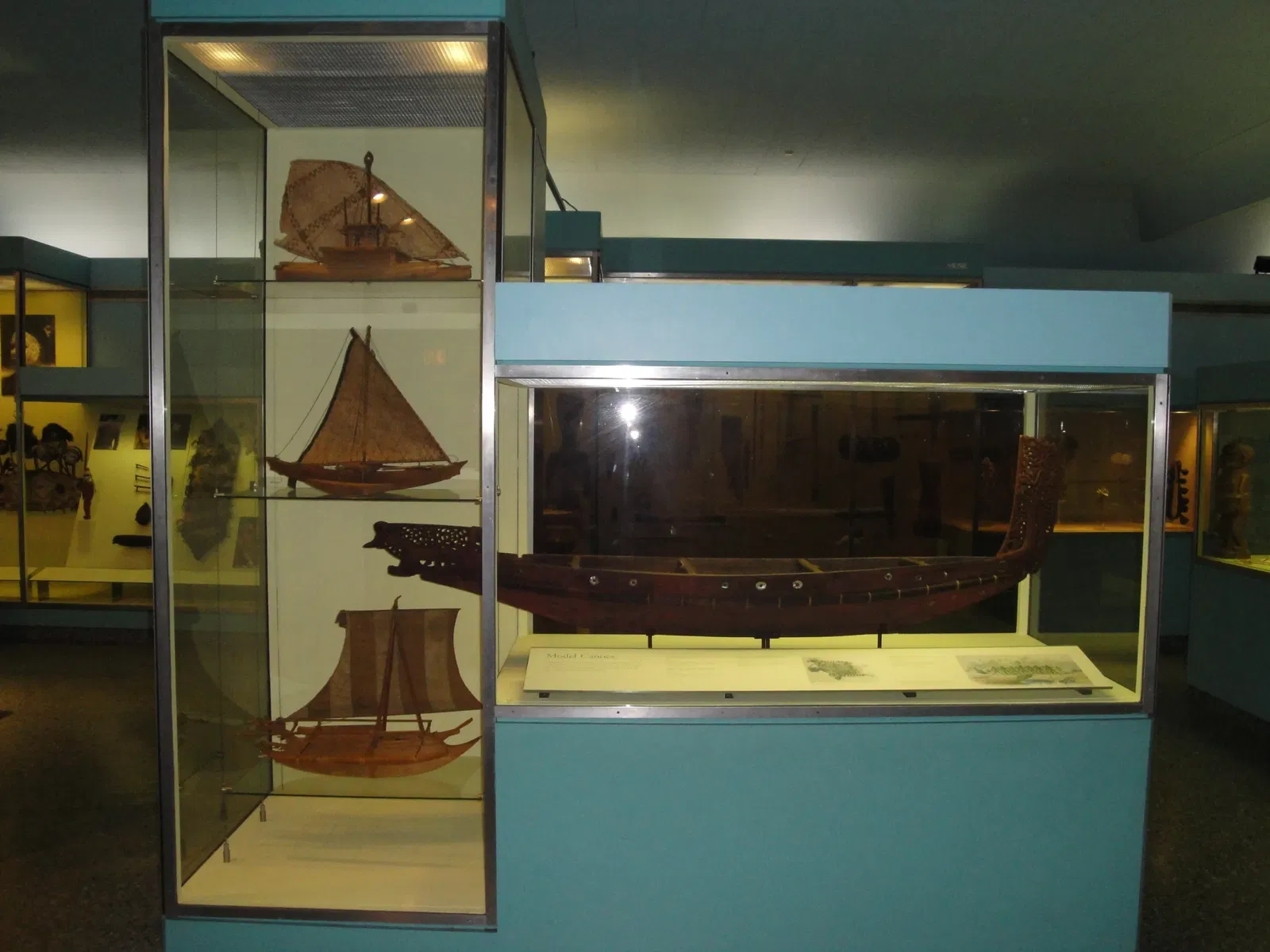 Musée américain d'histoire naturelle