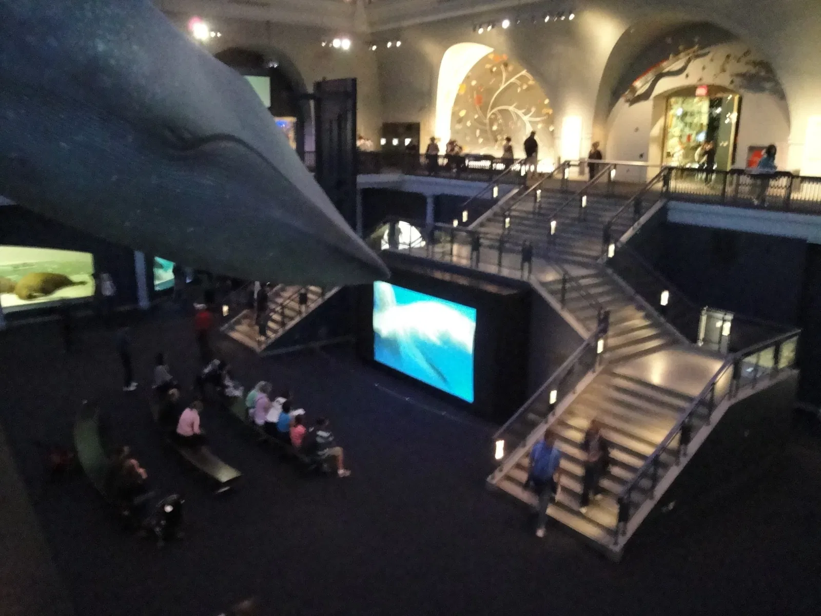 American Museum of Natural History