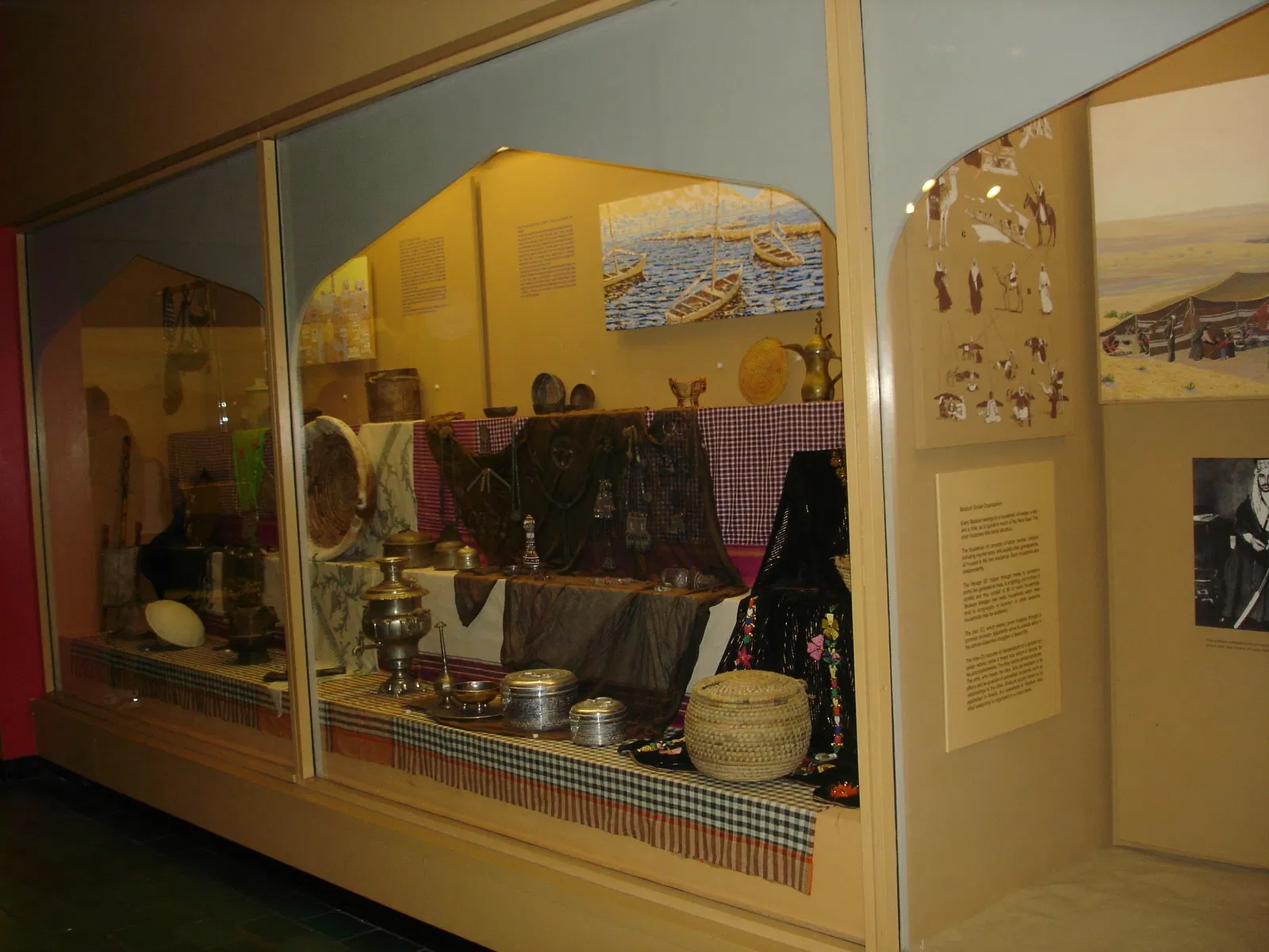 Museo Americano de Historia Natural