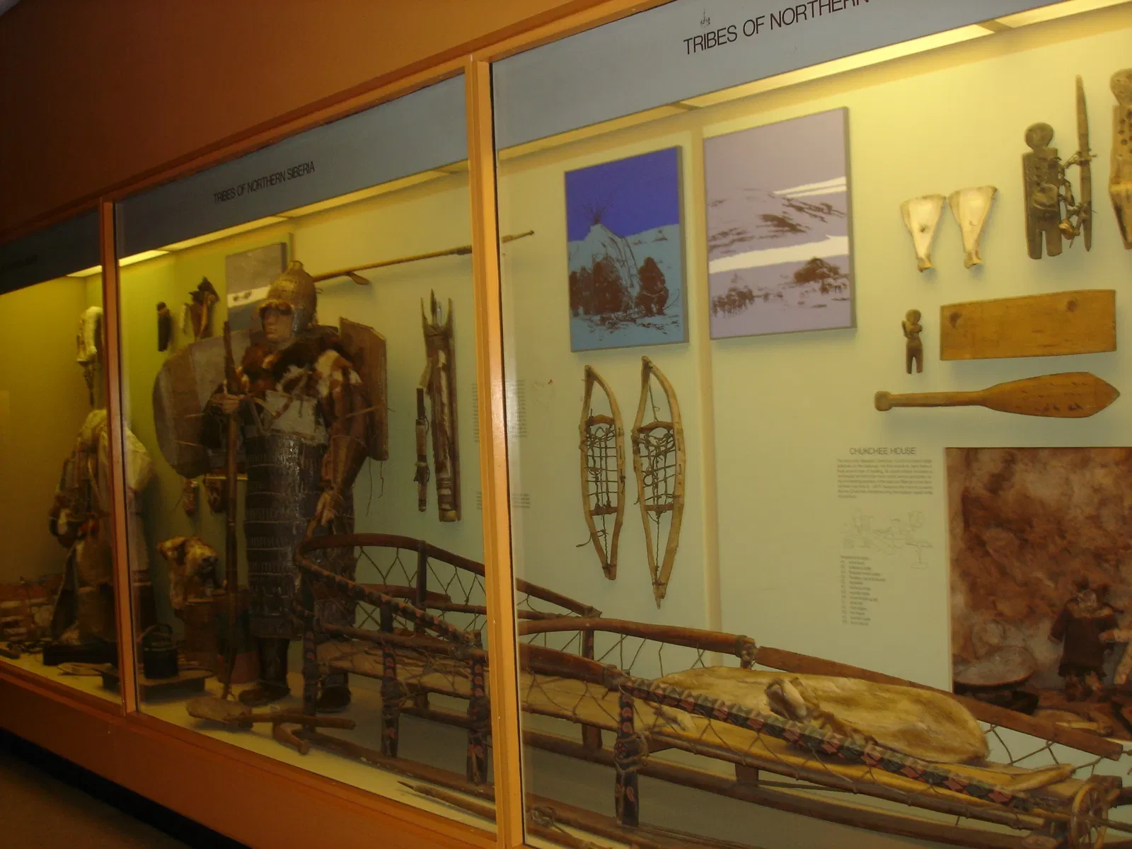 Museo Americano de Historia Natural