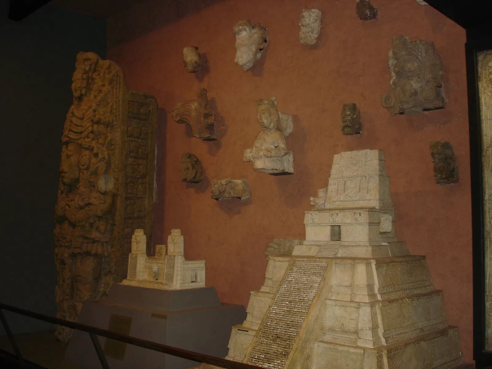 Musée américain d'histoire naturelle