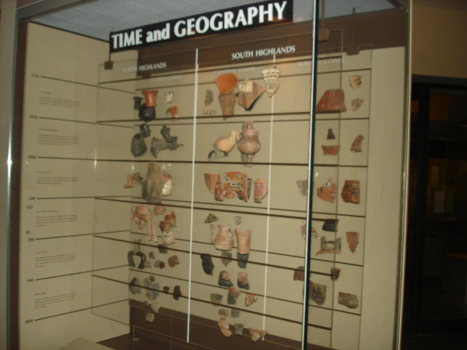 Musée américain d'histoire naturelle