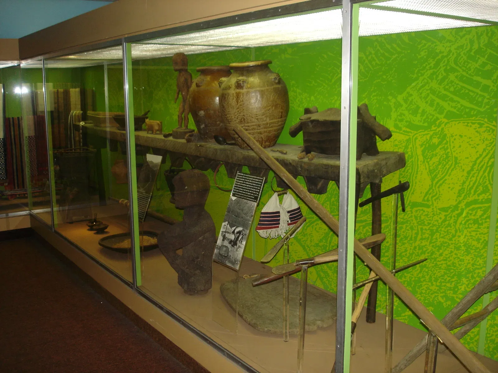 Musée américain d'histoire naturelle