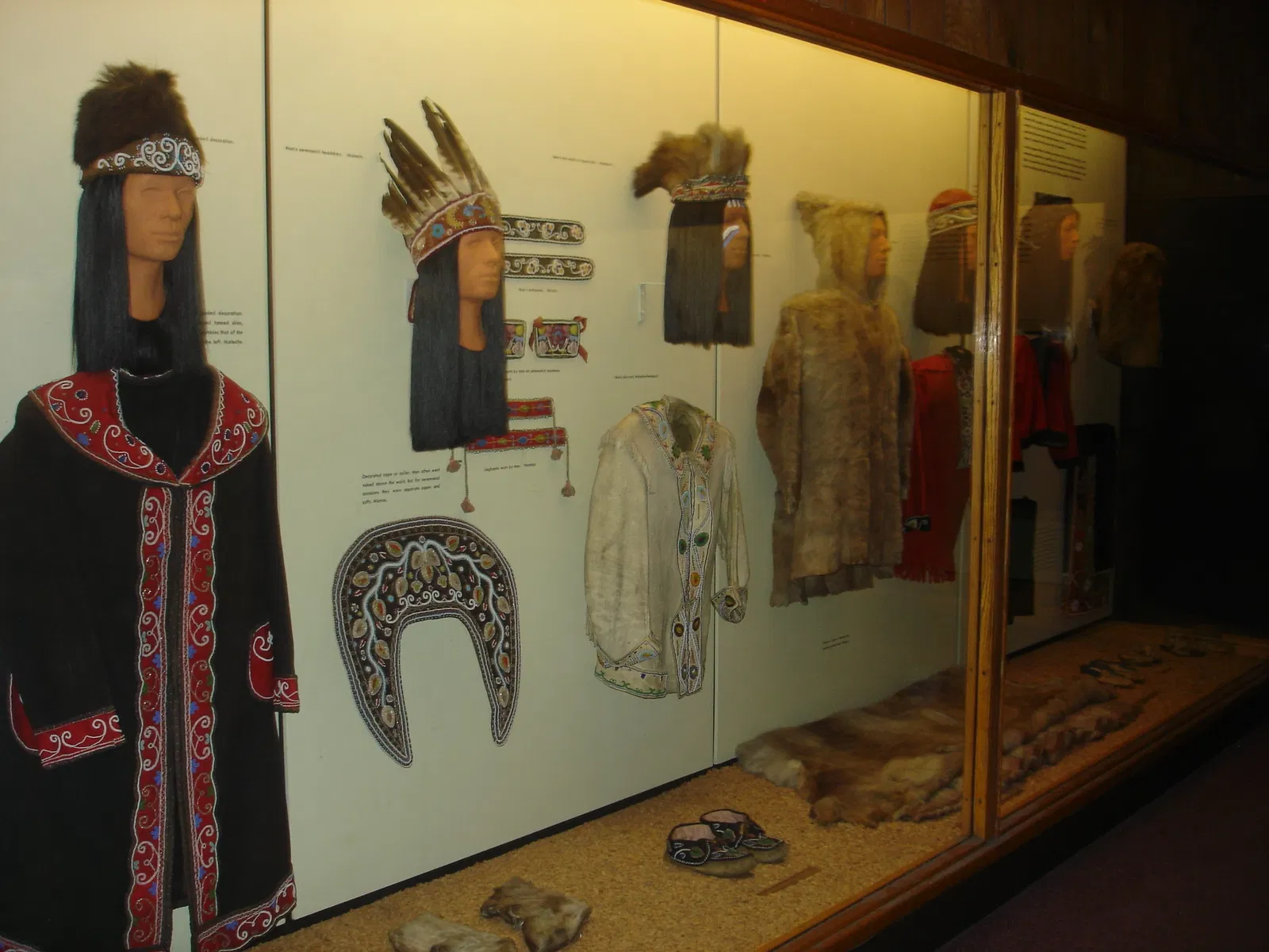 Musée américain d'histoire naturelle