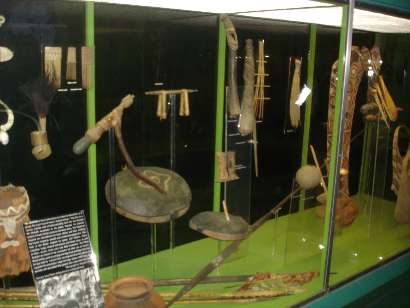 American Museum of Natural History