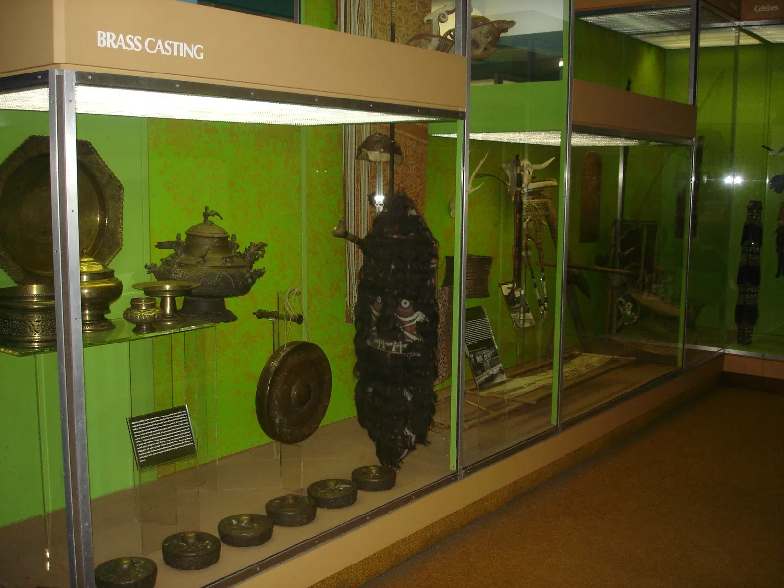 Museo Americano de Historia Natural